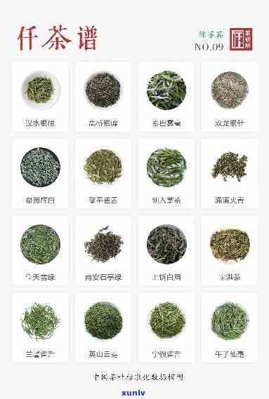 各种各样的茶叶图片及名称，探索茶的世界：各种各样的茶叶图片与名称大全