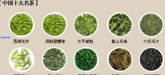 各种各样的茶叶图片及名称，探索茶的世界：各种各样的茶叶图片与名称大全