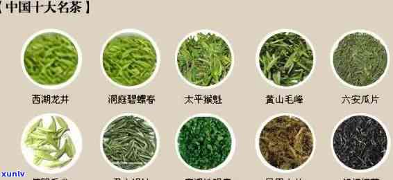 茶叶种类和图片，探索茶叶世界：各类茶叶品种与精美图片大