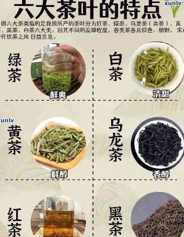 中国的茶叶有哪几种类型，探索中国茶文化：了解不同类型的茶叶