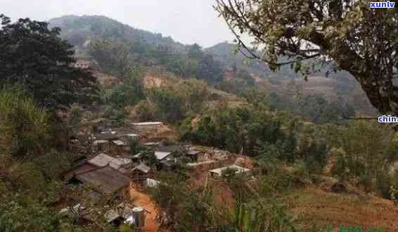 勐库冰岛茶小镇建设目，打造世界级茶都，云南勐库冰岛茶小镇建设目启动