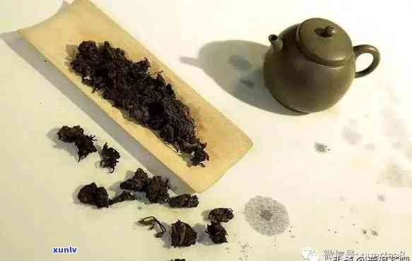 各种茶叶的醒茶 *** 图片全面解析与效果展示