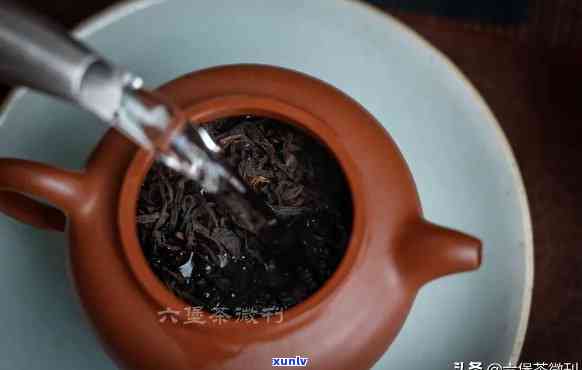 各种茶叶的醒茶 *** -各种茶叶的醒茶 *** 图片