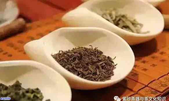 各种茶叶的醒茶 *** -各种茶叶的醒茶 *** 图片