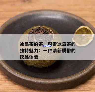 冰岛茶，探索冰岛茶：一次独特的茶叶之旅