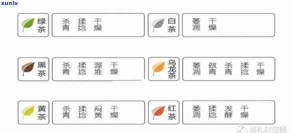 茶叶的种类有多少种？详解各类茶叶及其图片、名称与类型