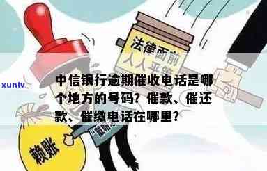 中信银行逾期  是哪个地方的号码，查询中信银行逾期  号码归属地