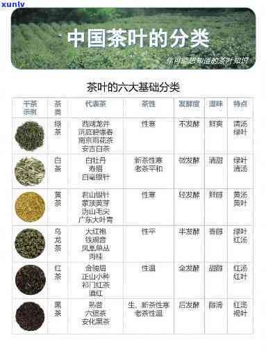 茶叶一共分几种类型-茶叶一共分几种类型?