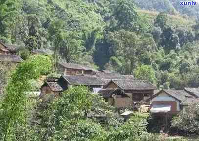 小冰岛坝卡茶怎么样-坝卡和冰岛