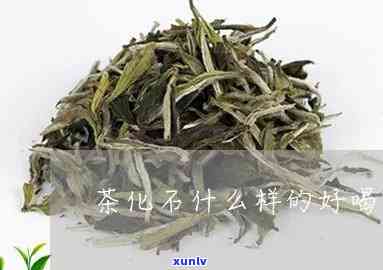 茶化石和茶叶哪个好-茶化石和茶叶哪个好喝