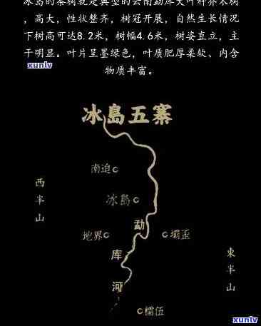 冰岛五寨茶是哪五寨，揭秘冰岛五寨茶：探寻这五座神秘的茶叶产地