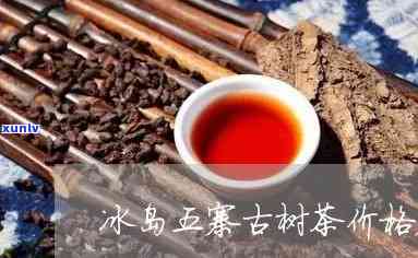 冰岛五寨古树茶产量高吗？特点、价格及是生茶还是熟茶一探究竟！