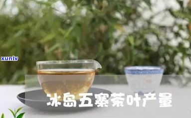 冰岛五寨古树茶产量-冰岛五寨古树茶产量多少