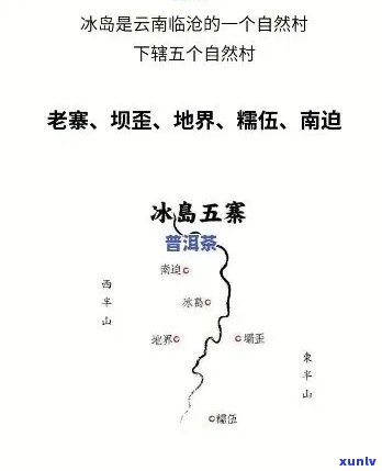 冰岛五寨古树茶产量-冰岛五寨古树茶产量多少