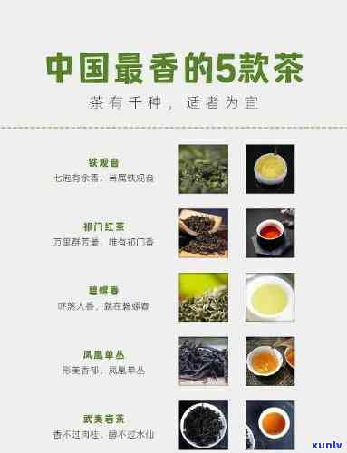 哪种茶叶最香喝-哪种茶叶最香喝耐泡