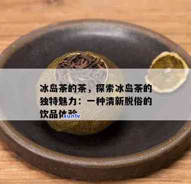 冰岛茶的甜味，探寻冰岛茶的甜美滋味