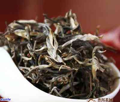 探究冰岛茶：从茶颜色到茶渣形状，一应俱全