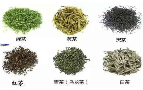 全面解析：茶叶的功效物质与作用、禁忌及主要功能性