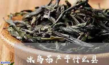 冰岛茶是哪年炒火的-冰岛茶是哪年炒火的茶