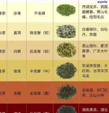 怎么看茶叶的品质，如何判断茶叶的品质？关键要素解析