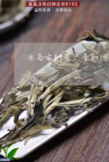 冰岛古树茶每亩产量-冰岛古树茶每亩产量多少