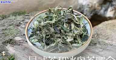 易武古树和冰岛母茶-易武古树和冰岛母茶哪个好