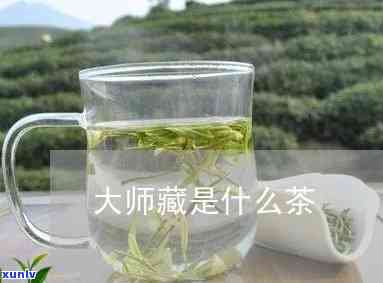 大师藏茶叶是什么茶种，探秘大师藏茶叶：揭开其神秘面纱的茶种身份