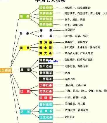 中国茶叶品种名称，探索中国丰富的茶叶品种：从龙井到普洱，品味独特的茶文化