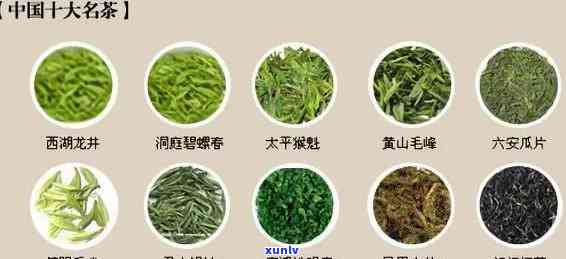 中国有哪些茶叶品种-中国有哪些茶叶品种名称