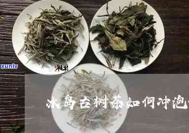 冰岛古树茶和大红袍-冰岛古树茶冲泡 *** 