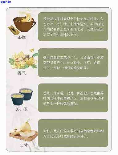 关于茶叶方面的知识资料，探索茶叶的世界：全面的茶叶知识资料