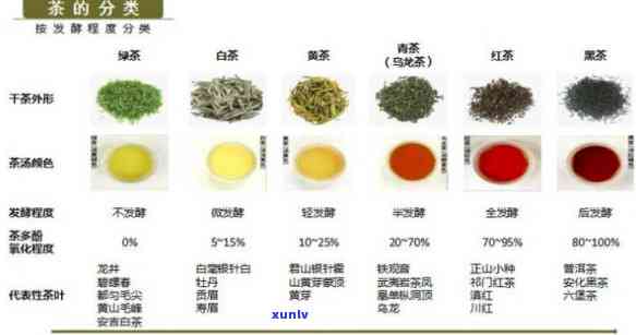 关于茶叶的知识点，深入了解茶叶：从种类到冲泡技巧的全面解析