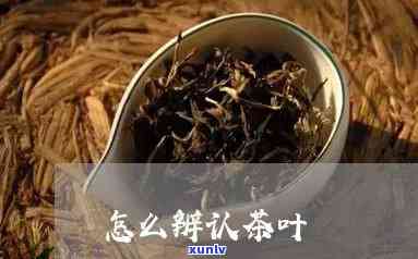 如何辨别和认识茶叶-如何辨别和认识茶叶的真假