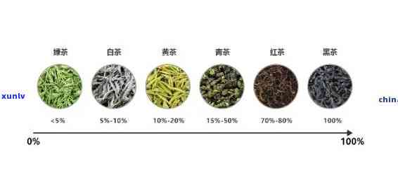 茶叶的六个种类，探索茶叶的世界：了解六种不同类型的茶叶