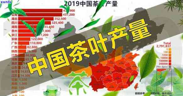 全国茶叶喝排行榜：云南、安徽、四川、福建，一网打尽！