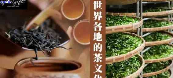 什么茶叶是的，探秘茶叶：品味世界的茶香之旅