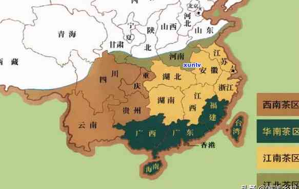 中国各地什么茶叶最出名？福建、广东、四川、河南、州、云南特色茶品大揭秘！