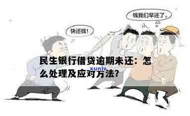 漯河民生银行还款逾期会有什么结果？解决方法是什么？