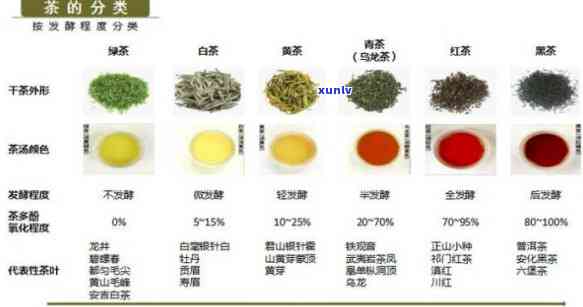 茶叶的种类、功效、图片及泡法全解析