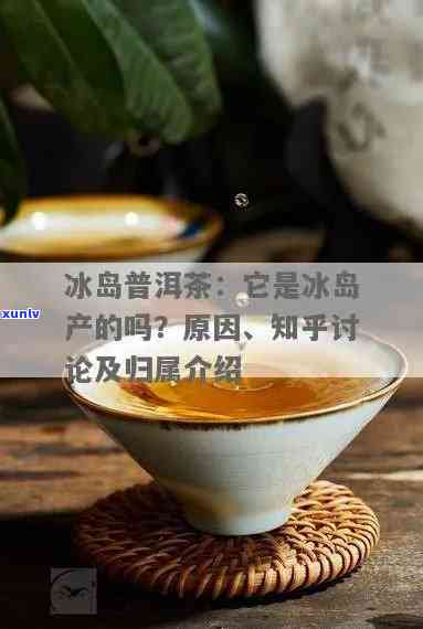 冰中岛是冰岛普洱茶吗，解密冰中岛：它是冰岛普洱茶吗？