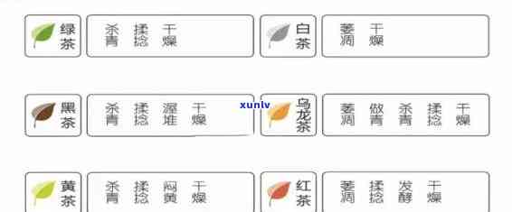 茶叶型号指的是什么-茶叶型号指的是什么意思