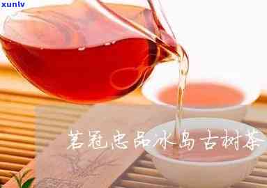 茗冠忠品冰岛古树茶-茗冠忠品普洱茶