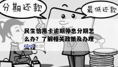 民生银行逾期停息分期怎么申请，怎样申请民生银行逾期停息分期？详细步骤解析