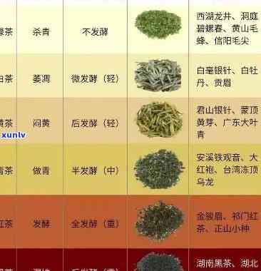 茶叶的品种大全，探索茶叶世界：全面了解茶叶的品种大全