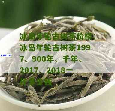 冰岛千年古树茶1997年价格及历介绍