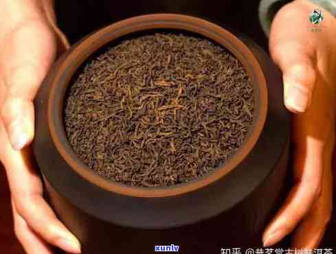 几万块一斤的茶叶有什么特别之处？有哪些知名？值得购买吗？