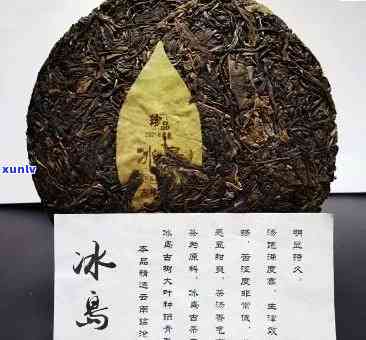 冰岛古树俊聘号生茶-古树冰岛茶价格