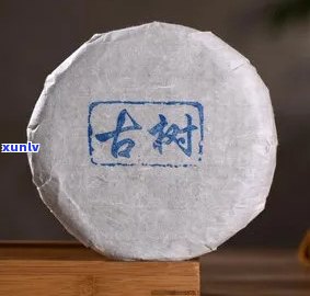 勐库冰岛七子饼茶300年树龄，探秘古老韵味：300年树龄的勐库冰岛七子饼茶