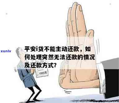 平安口袋银行还不了款，解决平安口袋银行还款疑问：怎样解决无法还款的情况？