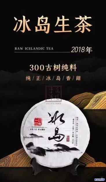 冰岛300年古树茶，探索古老韵味：冰岛300年古树茶的魅力